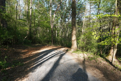 ENGLISH CREEK FRONTAGE - photo 16