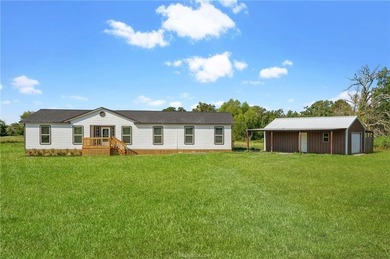 (private lake, pond, creek) Home For Sale in Bedias Texas