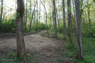 ENGLISH CREEK FRONTAGE - photo 5