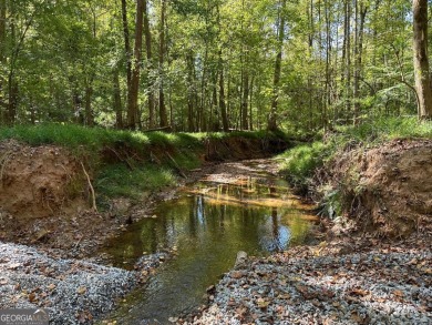 Lake Acreage For Sale in Milton, Georgia