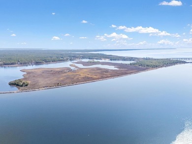 Ever dreamed of owning an ISLAND? Now is your chance! This - photo 12