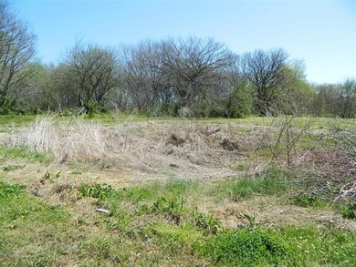 1.19 acres with a 50 x 60 insulated shop w/electric. Many - photo 14