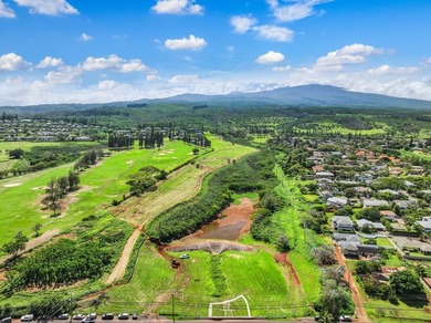 Welcome to Kapalua Farms, a remarkable opportunity to own over - photo 8