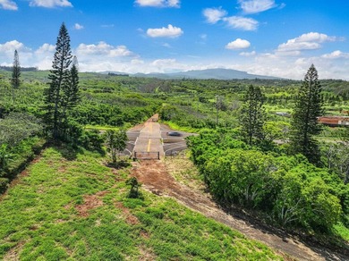 Welcome to Kapalua Farms, a remarkable opportunity to own over - photo 9
