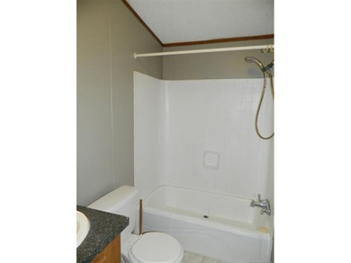 1.19 acres with a 50 x 60 insulated shop w/electric. Many - photo 20