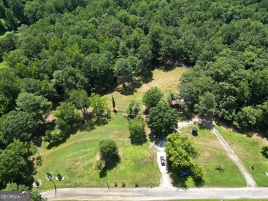 Lake Acreage For Sale in Milton, Georgia
