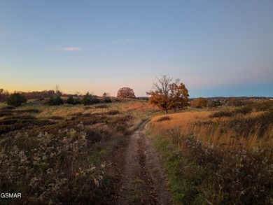 Douglas Lake Acreage For Sale in Dandridge Tennessee