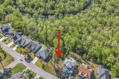 Fantastic lot located in a fantastic neighborhood! A blank - photo 3