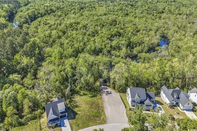 Fantastic lot located in a fantastic neighborhood! A blank - photo 4