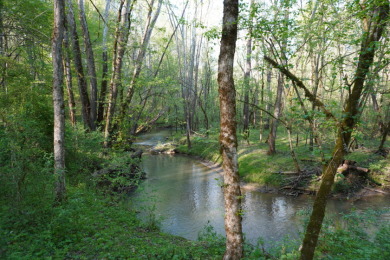 ENGLISH CREEK FRONTAGE - photo 2