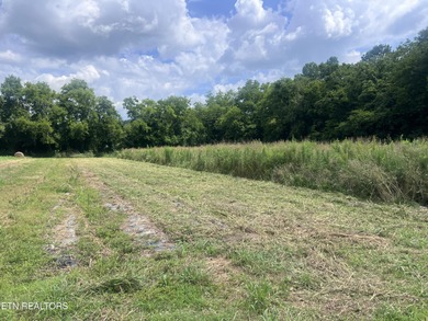 Pigeon River Lot Sale Pending in Newport Tennessee