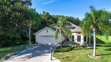 Lake Home Sale Pending in Sun City Center, Florida