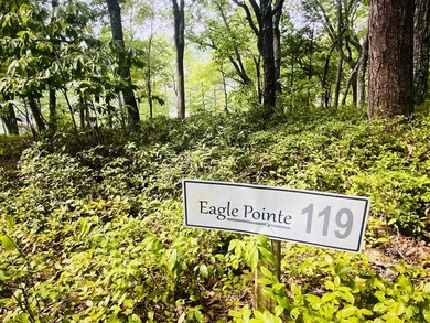Beautiful WATERFRONT Lot on Peaceful Leesville Lake. 180 degree - photo 11