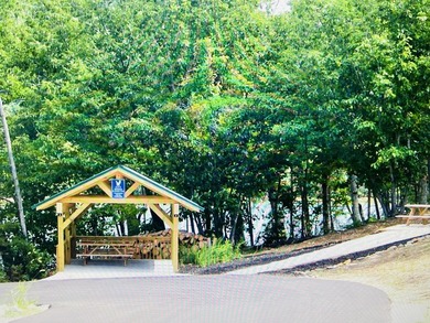 Beautiful WATERFRONT Lot on Peaceful Leesville Lake. 180 degree - photo 13