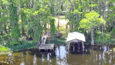 Lake Lot For Sale in Land O Lakes, Florida