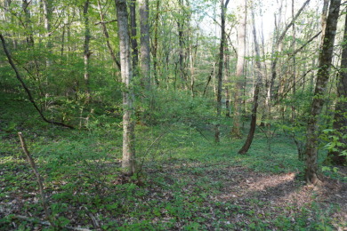 ENGLISH CREEK FRONTAGE - photo 7