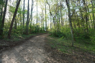 ENGLISH CREEK FRONTAGE - photo 6