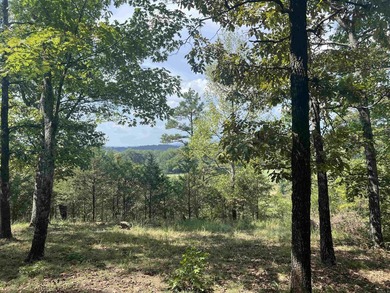 Nestled on 20 beautiful wooded acres, this 3-bedroom, 2-bath - photo 5