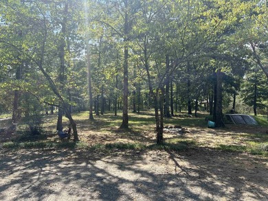 Nestled on 20 beautiful wooded acres, this 3-bedroom, 2-bath - photo 7