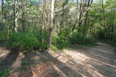 ENGLISH CREEK FRONTAGE - photo 9