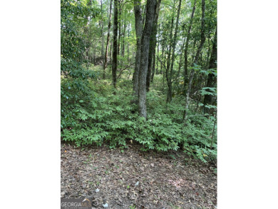 Lake Lot For Sale in Dillard, Georgia