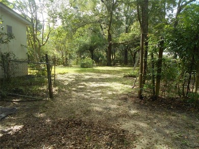 Discover the beauty of Salt Springs! Nestled in the heart of the - photo 11
