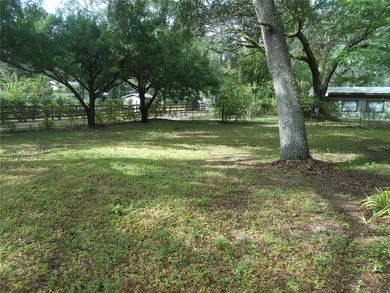 Discover the beauty of Salt Springs! Nestled in the heart of the - photo 15