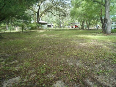 Discover the beauty of Salt Springs! Nestled in the heart of the - photo 17