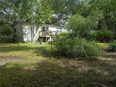 Discover the beauty of Salt Springs! Nestled in the heart of the - photo 19