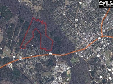 (private lake, pond, coastal) Acreage For Sale in Orangeburg South Carolina