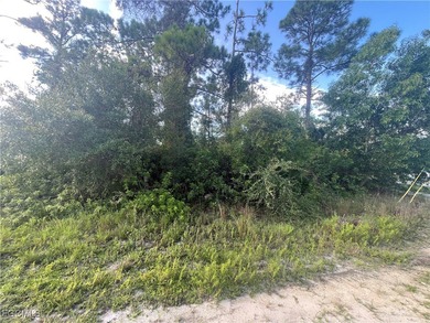 Lehigh Acres Area Lot For Sale in Lehigh Acres Florida