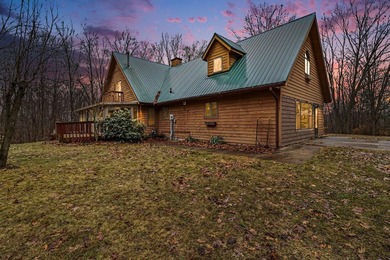 (private lake, pond, creek) Home For Sale in Fremont Michigan