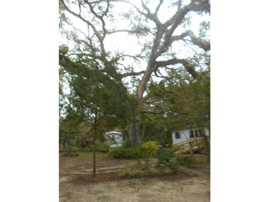 Discover the beauty of Salt Springs! Nestled in the heart of the - photo 31