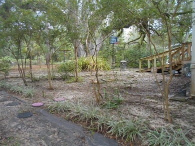 Discover the beauty of Salt Springs! Nestled in the heart of the - photo 33