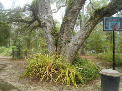 Discover the beauty of Salt Springs! Nestled in the heart of the - photo 35