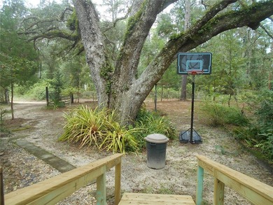 Discover the beauty of Salt Springs! Nestled in the heart of the - photo 37