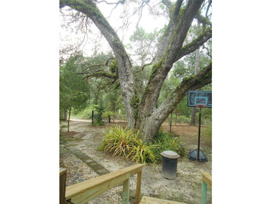 Discover the beauty of Salt Springs! Nestled in the heart of the - photo 38