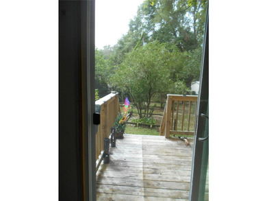 Discover the beauty of Salt Springs! Nestled in the heart of the - photo 41