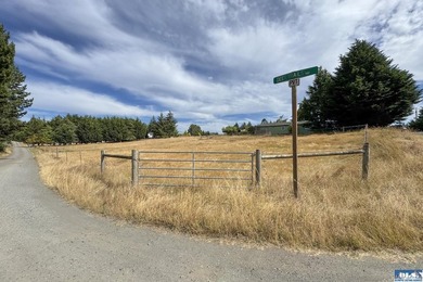 WELCOMING HOME IN SOUGHT-AFTER NEIGHBORHOOD! You need to see - photo 48