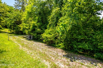 Watts Bar Lake Lot For Sale in Rockwood Tennessee