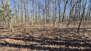 Lake Acreage For Sale in South Pittsburg, Tennessee