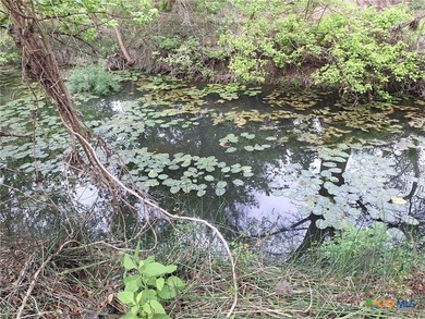 Waterfront - Dry Comal Creek - almost 2 acre lot close to - photo 1