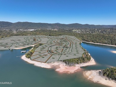 Incredibly rare investment opportunity on gorgeous Norris Lake! - photo 2