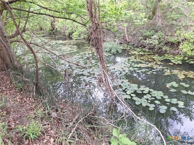 Waterfront - Dry Comal Creek - almost 2 acre lot close to - photo 3