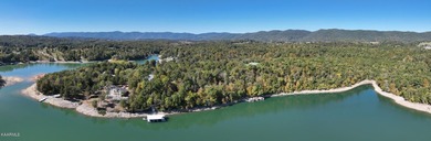 Incredibly rare investment opportunity on gorgeous Norris Lake! - photo 5