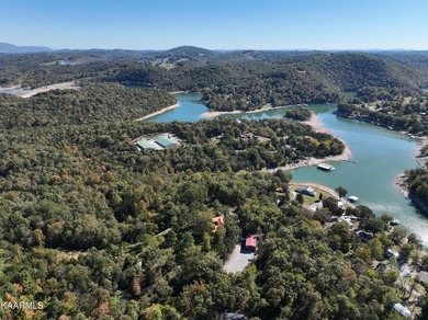 Incredibly rare investment opportunity on gorgeous Norris Lake! - photo 6