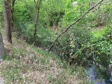 Waterfront - Dry Comal Creek - almost 2 acre lot close to - photo 6
