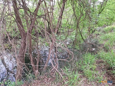 Waterfront - Dry Comal Creek - almost 2 acre lot close to - photo 7