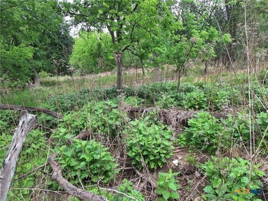 Waterfront - Dry Comal Creek - almost 2 acre lot close to - photo 10