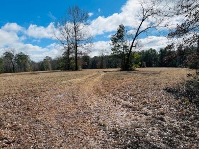 20.39 acres located only minutes from the City of Pineland and SO - Lake Acreage SOLD! in Pineland, Texas